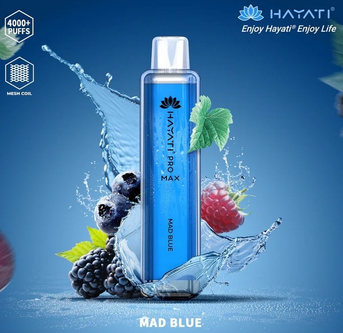 Hayati Pro Max 4000 Disposable Vape