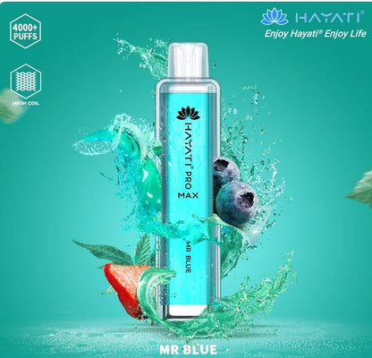 Hayati Pro Max 4000 Disposable Vape